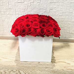 Коробка с 49 голландскими розами